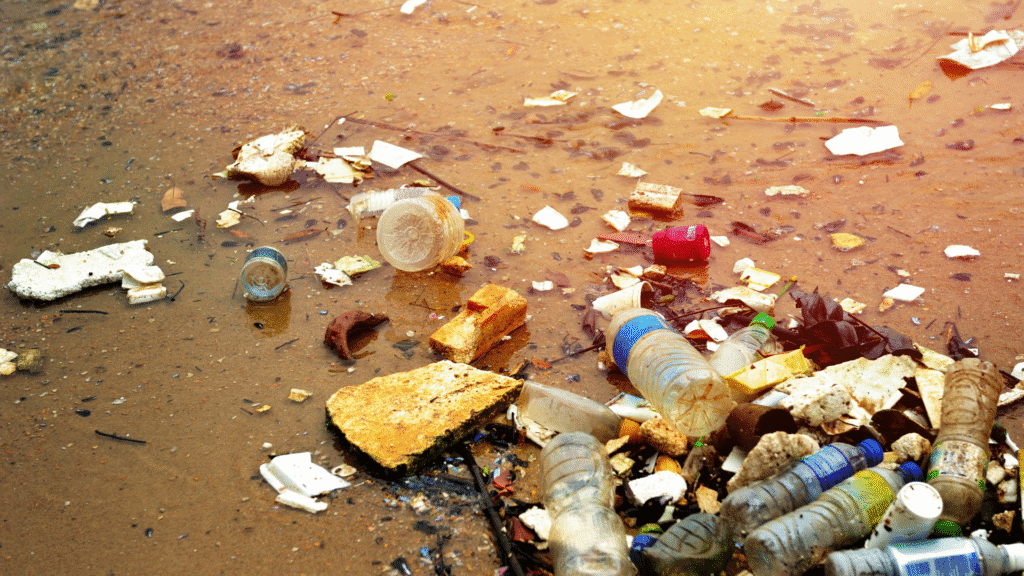 ליווי משקיעים לרכישת דירה